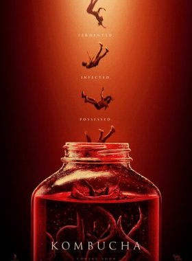 Чайный гриб